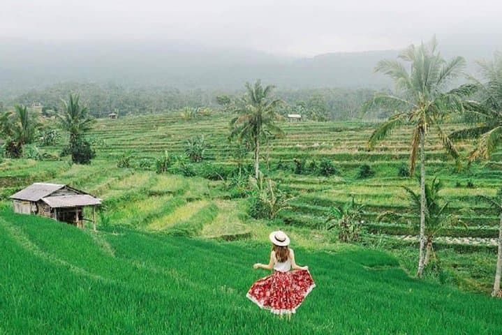 comprehensive-bali-9-day-tour-itinerary-temples-beaches-and-highlands photo 2