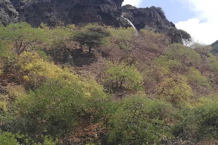 East Salalah Full-Day: Darbat, Tawi Attair & Sumhuram Ruins Day Tour photo 5