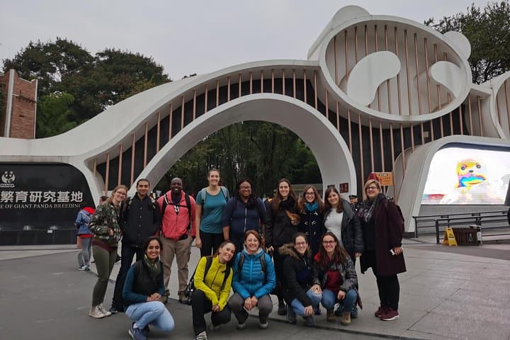 2-Day Chengdu Panda Base, Leshan Giant Buddha & Mt. Emei Small-Group Tour photo 6