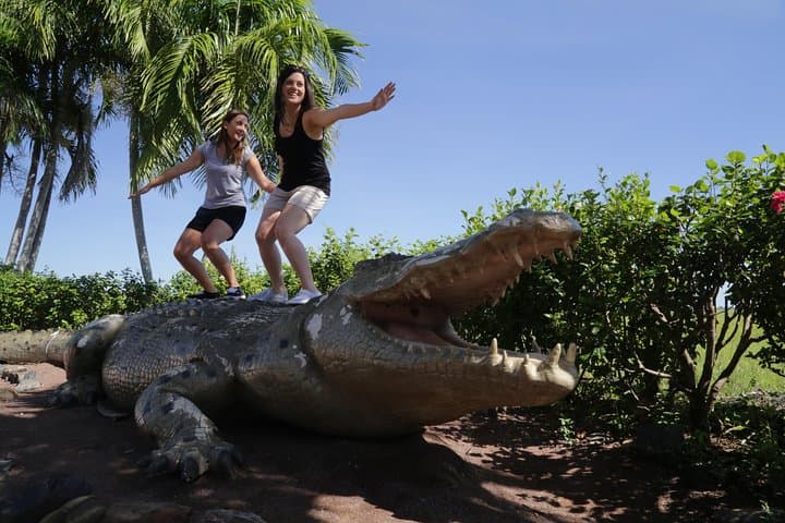 Adelaide River Jumping Croc Cruise — Up-Close Saltwater Crocodile and Wetlands Wildlife Experience photo 4