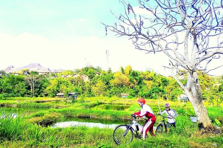 Yogyakarta Village & Fish Farm Cycling Tour — Rice Fields to Spring Ponds photo 1