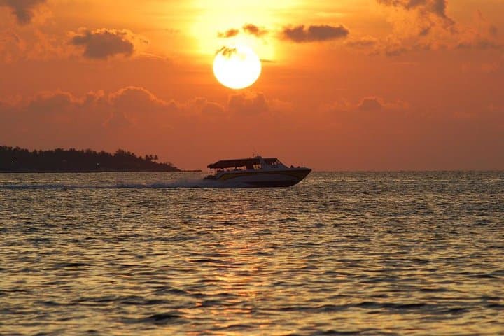 Phi Phi Maiton Khai Sunset Premium Speedboat Tour from Phuket photo 3