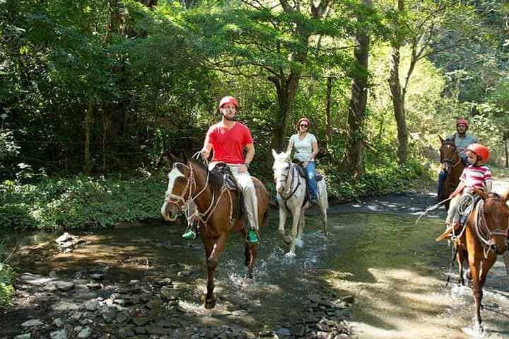 Buena Vista Mega Combo: Zipline, Waterfall & Hot Springs Day Trip from Liberia photo 3