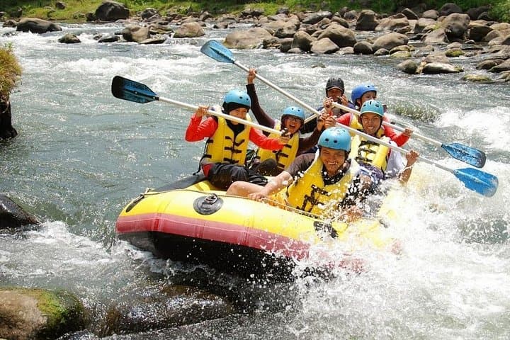 Elo River Rafting Yogyakarta: Family-Friendly Whitewater on Java's Jungle River