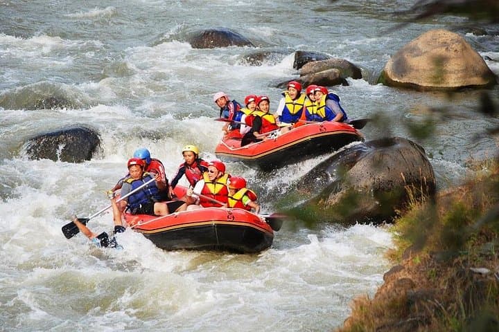 Elo River Rafting Yogyakarta: Family-Friendly Whitewater on Java's Jungle River photo 2