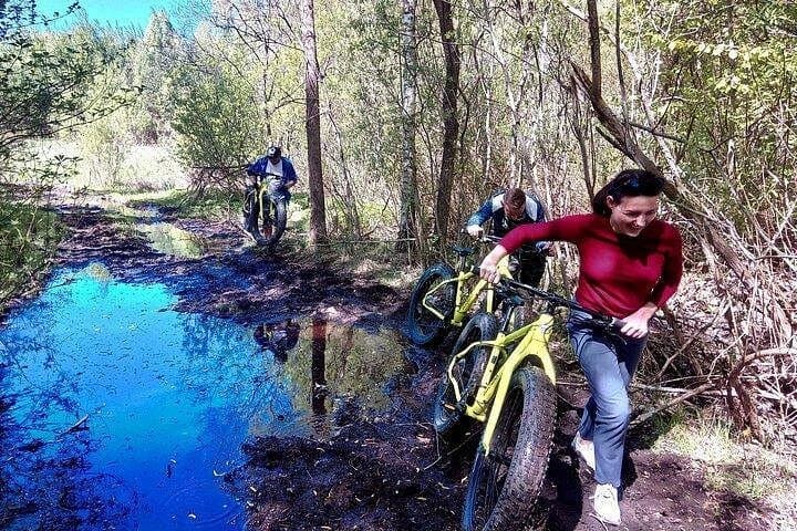 Fat-Bike Swamps and Bogs Tour — Visaginas Off‑Road Adventure photo 2
