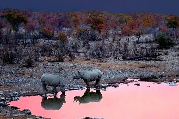 3-Day Maasai Mara Adventure Safari: Big Five, Wildebeest Migration & Eco-Camp photo 6