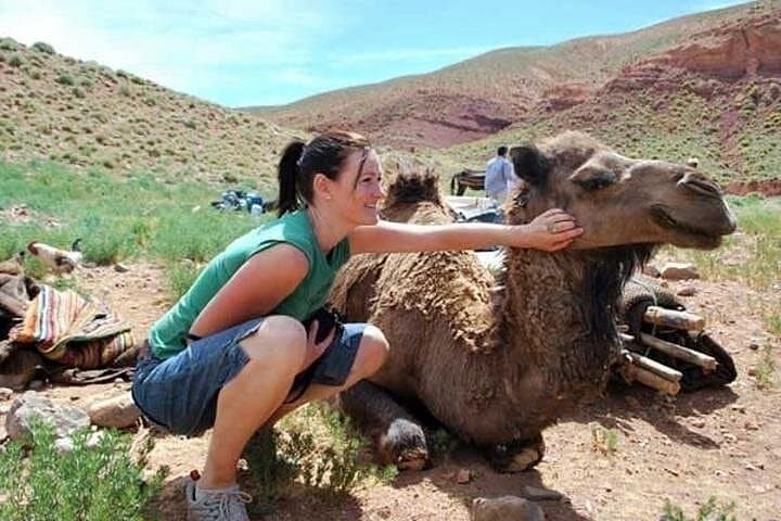 Day Trip to Imlil: Atlas Valley Hike, Mule Ride & Berber Culture photo 3