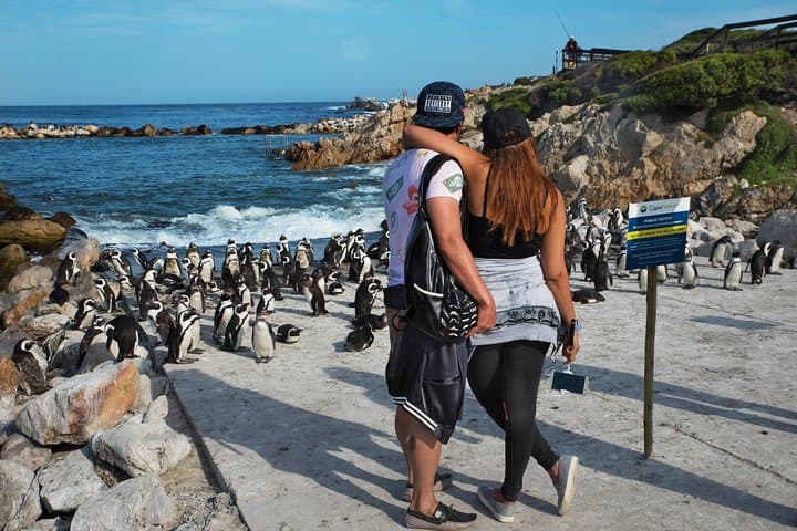 Best of Cape Town Full-Day Private Tour — Table Mountain, Cape Point & Wine Tasting photo 5