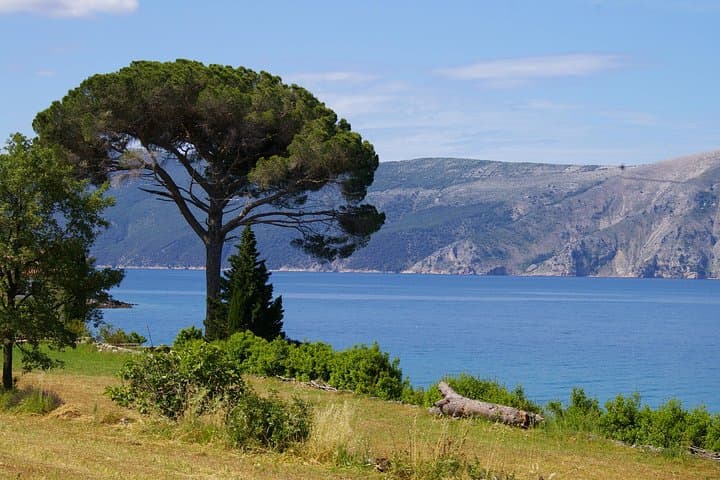 Glavotok Coastal Hike with Biologist Guide — Krk's Hidden Forests & Shoreline Ecology photo 2