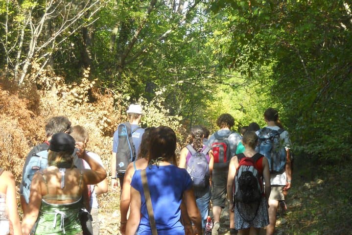 Glavotok Coastal Hike with Biologist Guide — Krk's Hidden Forests & Shoreline Ecology photo 3
