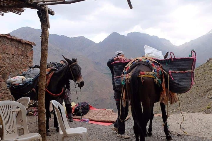 3-Day High Atlas Valley Trek from Marrakech — Imlil to Mzik Pass photo 2