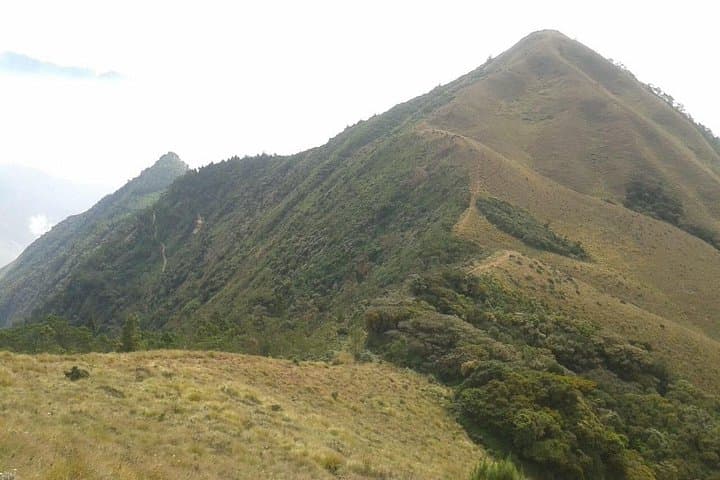 Meesapulimala Sunrise Trek: Pre-Dawn Ascent to the Western Ghats Ridge photo 4