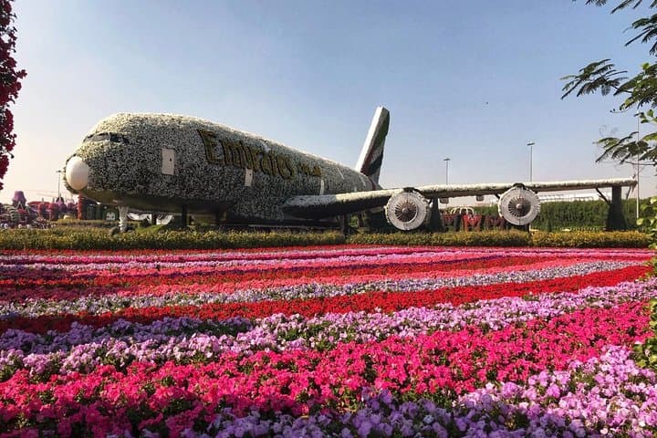 Dubai Miracle Garden: Tickets, Transfers & Practical Visitor Guide