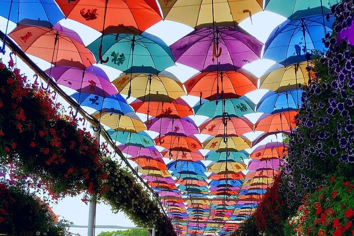 Dubai Miracle Garden: Tickets, Transfers & Practical Visitor Guide photo 2