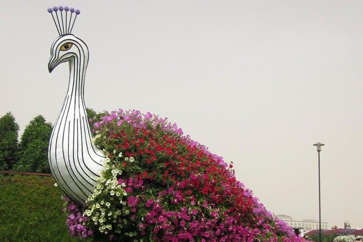 Dubai Miracle Garden: Tickets, Transfers & Practical Visitor Guide photo 4