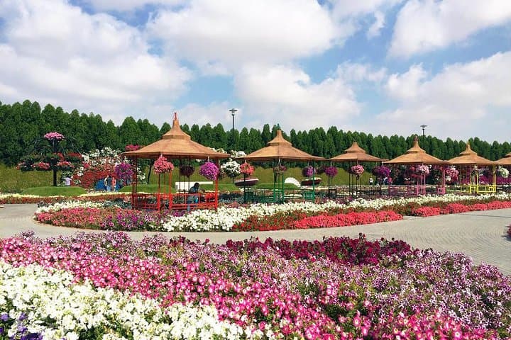 Dubai Miracle Garden: Tickets, Transfers & Practical Visitor Guide photo 6