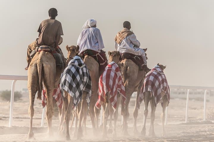Doha Desert Sunset Safari: Dune Bashing, Camel Ride & Inland Sea Stargazing photo 1