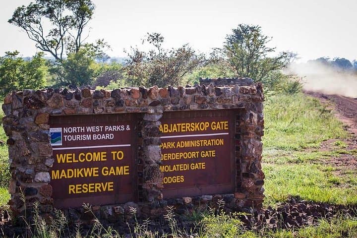 Madikwe Game Reserve Day Safari from Gaborone — Big Five in a Malaria-Free Reserve