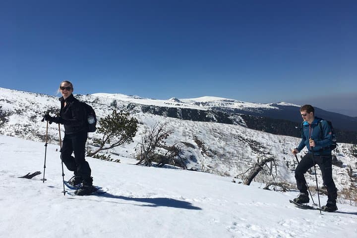 Snowshoeing Day Trip to Malyovitsa — Rila Mountains Winter Hike from Sofia photo 3