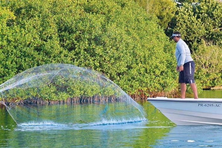 Light-Tackle Tarpon Fishing in San Juan: Condado & Torrecilla Lagoons photo 3