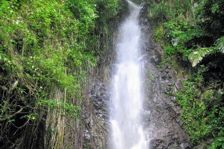 Dark View Falls Tour and West Coast Beach — St. Vincent Adventure photo 4