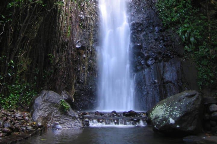 Dark View Falls Tour and West Coast Beach — St. Vincent Adventure photo 5