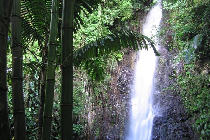 Dark View Falls Tour and West Coast Beach — St. Vincent Adventure photo 3
