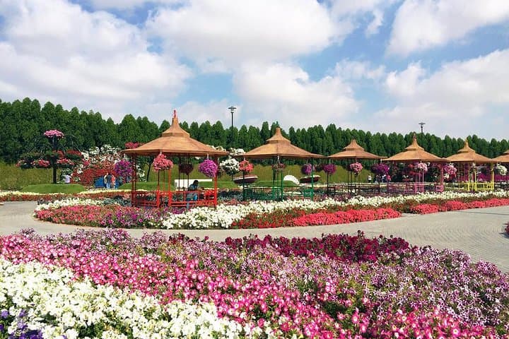 Dubai Miracle Garden: Explore 45 Million Flowers and Sculpted Displays photo 3