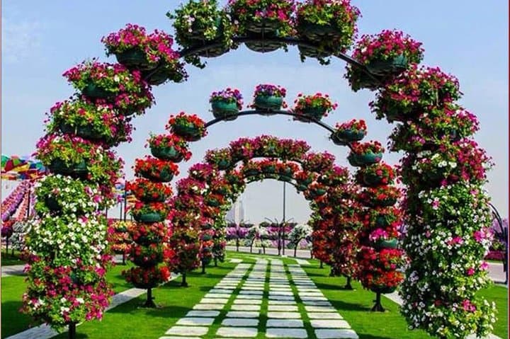 Dubai Miracle Garden: Explore 45 Million Flowers and Sculpted Displays photo 4