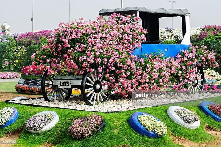 Dubai Miracle Garden: Explore 45 Million Flowers and Sculpted Displays photo 2