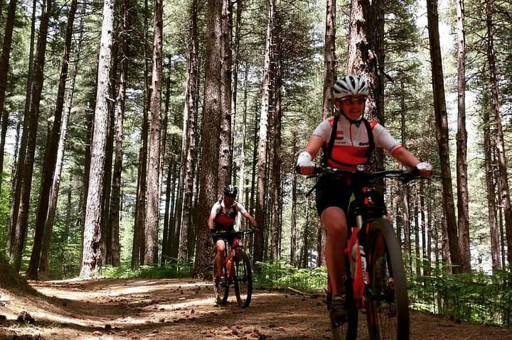 Mount Etna E‑Bike Half-Day: Ride Lava Fields to Rifugio Citelli photo 6