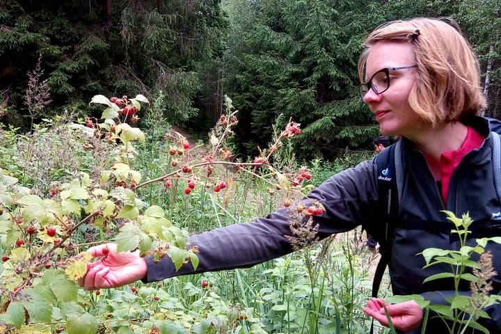 Gražutė Regional Park: One-Day Guided Hike from Visaginas photo 4