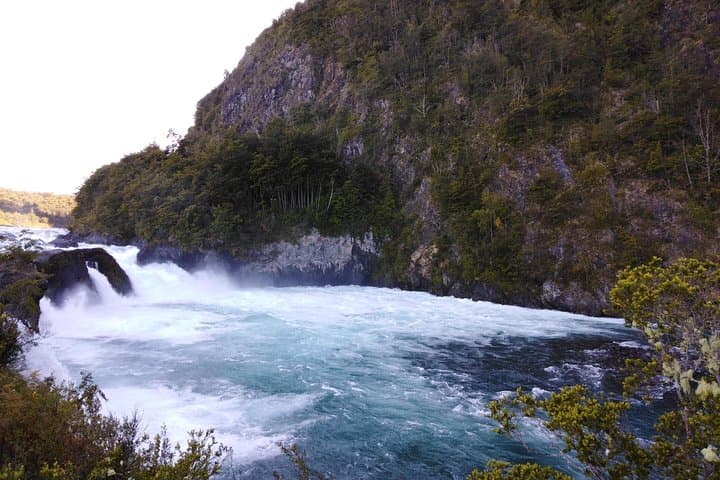Petrohue Falls & Osorno Volcano Day Tour from Puerto Varas photo 3