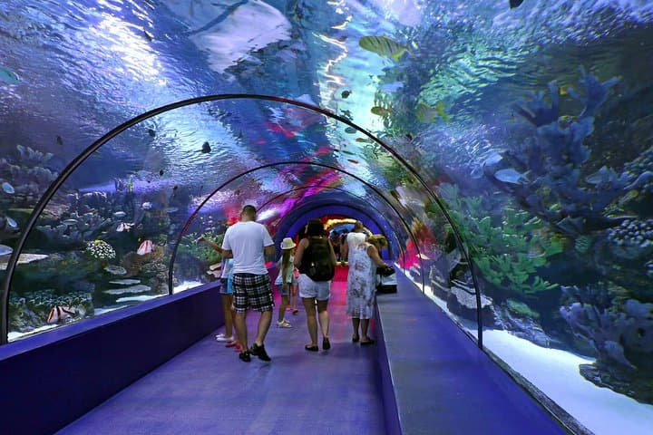 Antalya Aquarium Visitor Guide — Walk the 131-Meter Tunnel Aquarium photo 3