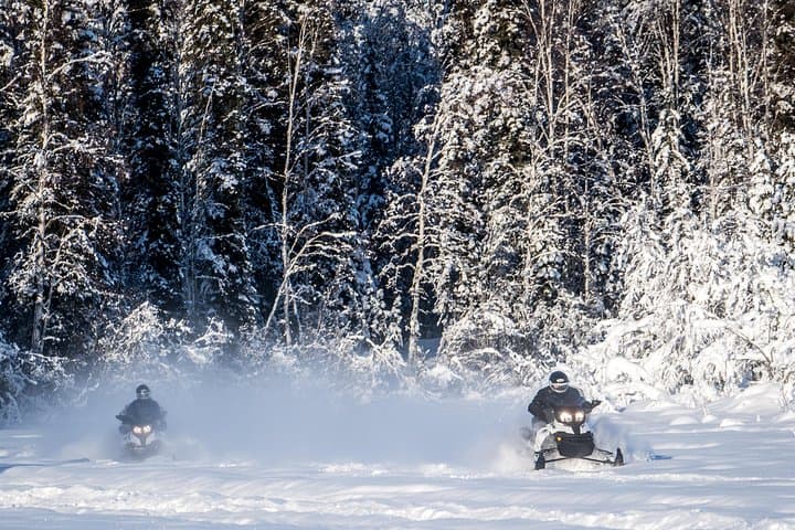 Experience Alaska’s Wilderness: Guided Snowmobile Tour Near Fairbanks photo 3