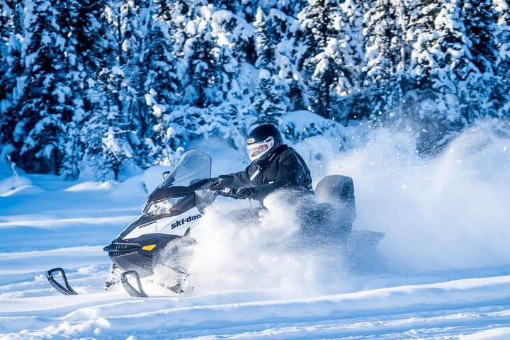 Experience Alaska’s Wilderness: Guided Snowmobile Tour Near Fairbanks photo 4