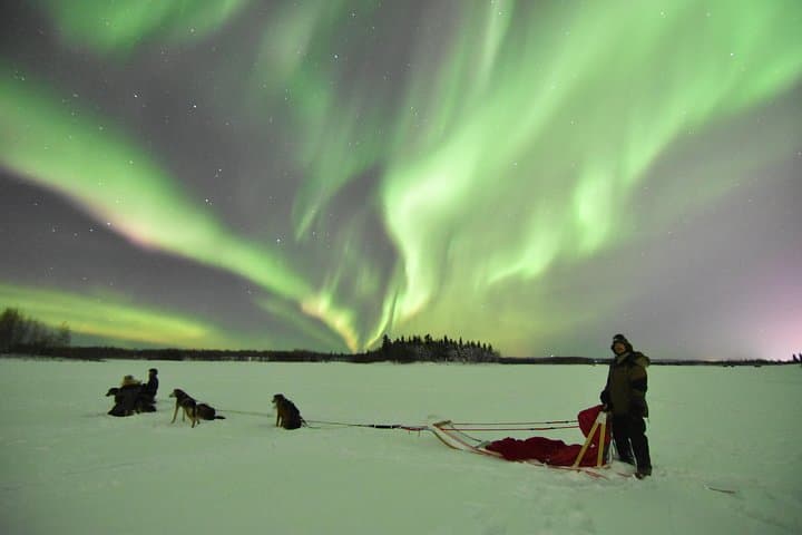 North Pole Alaska Dog Sledding: 30-Minute Mushing with Alaskan Huskies photo 5