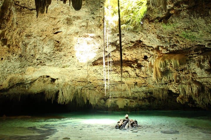 Snorkel with Sea Turtles and Explore a Riviera Maya Cenote photo 5