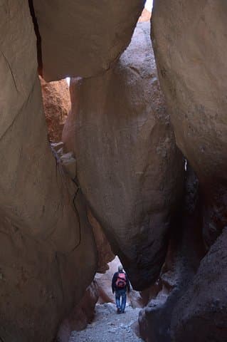 Hike the Valley of Roses & Dades Gorges — Guided Trek in Morocco photo 2