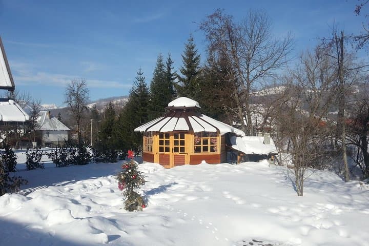 Dubrovnik to Kolašin Day Trip: Biogradska Gora National Park & Kolasin Ski Resort Transfer photo 5