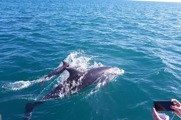 Benagil Cave Boat Trip: Explore Algarve’s Sea Caves, Swim & Spot Dolphins photo 4