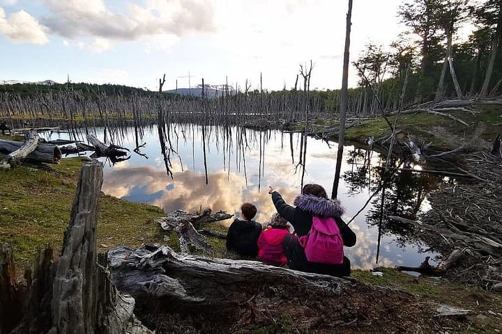Afternoon Lakes Tour to Escondido and Fagnano — Beaver Watching & Country-House Snack near Ushuaia