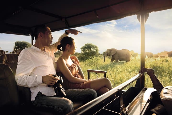 Full-Day Kruger Big 5 Safari from Hazyview: What to Expect