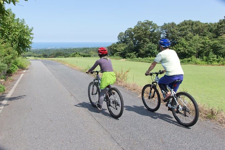 Mt Daisen Downhill Biking: 850m Descent Through Beech Forests to the Sea photo 2