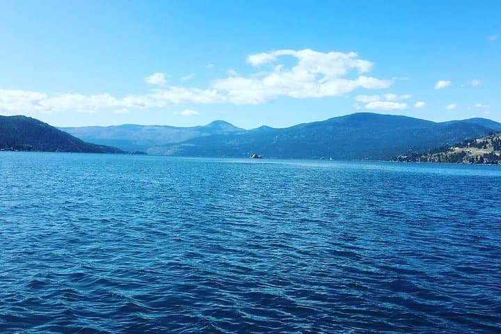 Full-Day Private Captained Boat Cruise on Okanagan Lake — Kelowna Luxury Pontoon photo 4
