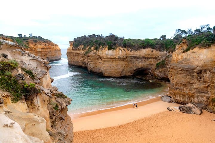 Great Ocean Road Private Tour: Twelve Apostles, Koalas & Otway Rainforest in One Day photo 5