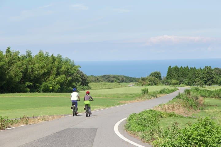 Mt Daisen Downhill Biking: 850m Descent Through Beech Forests to the Sea