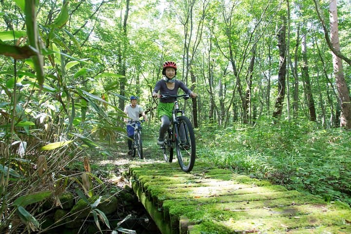 Mt Daisen Downhill Biking: 850m Descent Through Beech Forests to the Sea photo 3