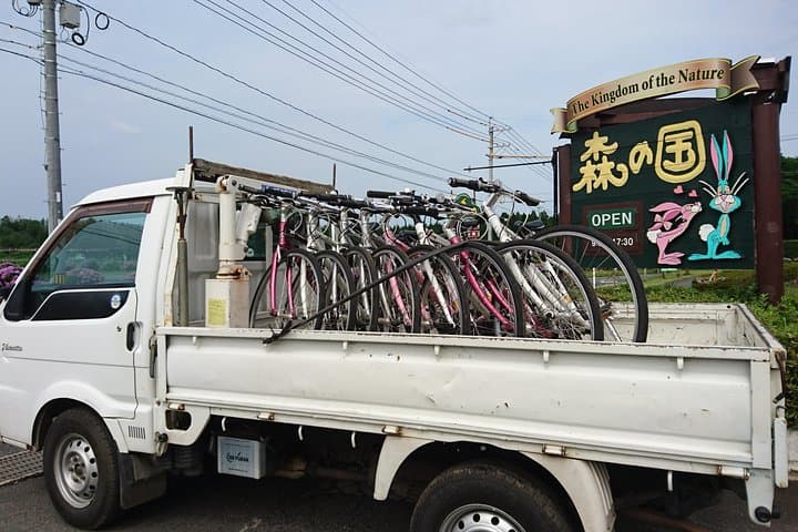 Mt Daisen Downhill Biking: 850m Descent Through Beech Forests to the Sea photo 5